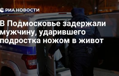 В Подмосковье задержали мужчину, ударившего подростка ножом в живот