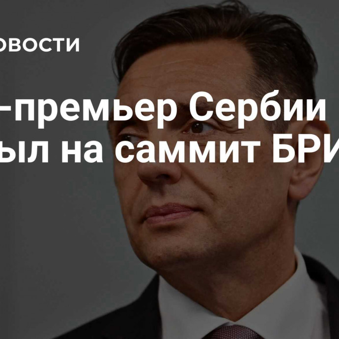 Вице-премьер Сербии прибыл на саммит БРИКС