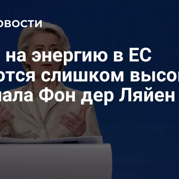 Цены на энергию в ЕС остаются слишком высокими, признала Фон дер Ляйен