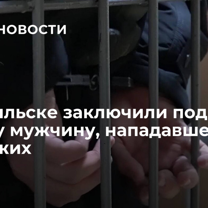 В Норильске заключили под стражу мужчину, нападавшего на прохожих