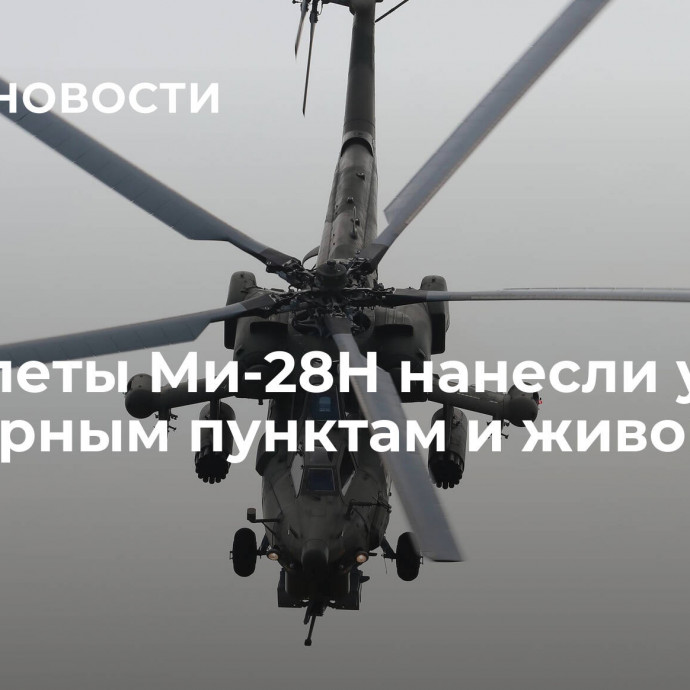 Вертолеты Ми-28Н нанесли удар по опорным пунктам и живой силе ВСУ