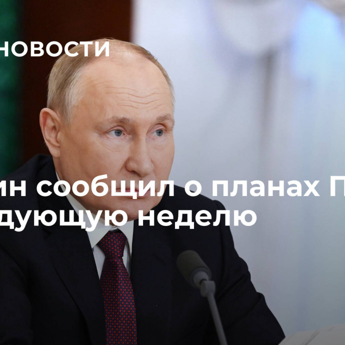 Зарубин сообщил о планах Путина на следующую неделю