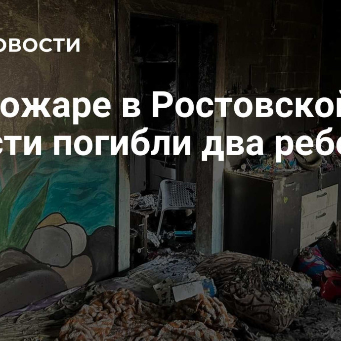 При пожаре в Ростовской области погибли два ребенка