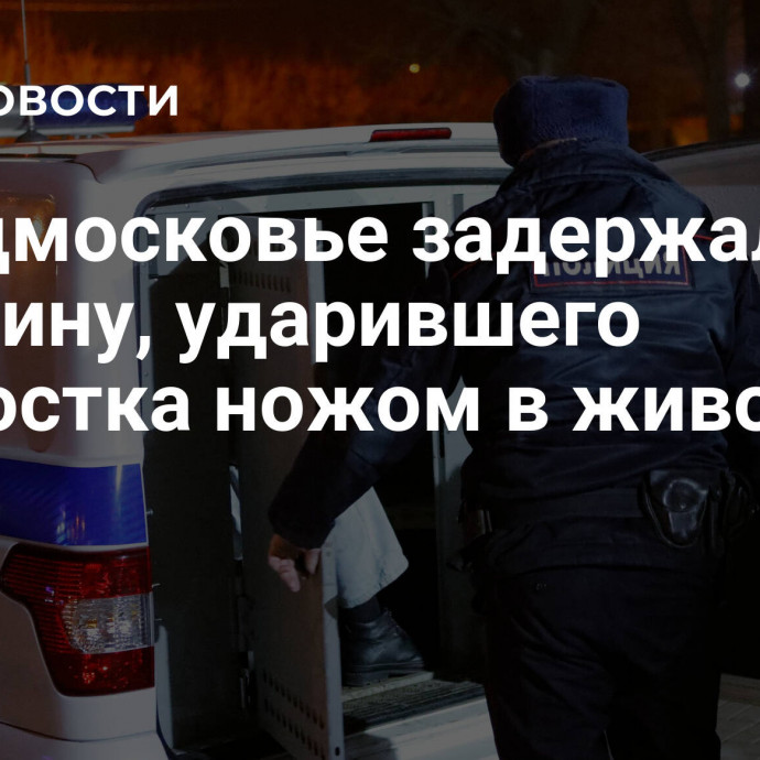 В Подмосковье задержали мужчину, ударившего подростка ножом в живот