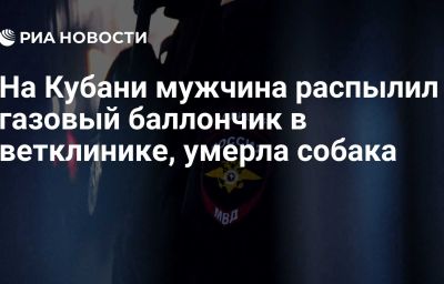 На Кубани мужчина распылил газовый баллончик в ветклинике, умерла собака