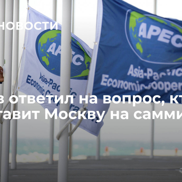 Песков ответил на вопрос, кто представит Москву на саммите АТЭС