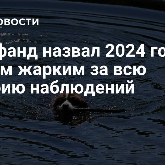 Вильфанд назвал 2024 год самым жарким за всю историю наблюдений