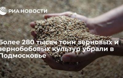 Более 280 тысяч тонн зерновых и зернобобовых культур убрали в Подмосковье