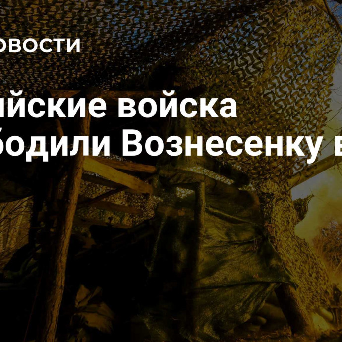 Российские войска освободили Вознесенку в ДНР