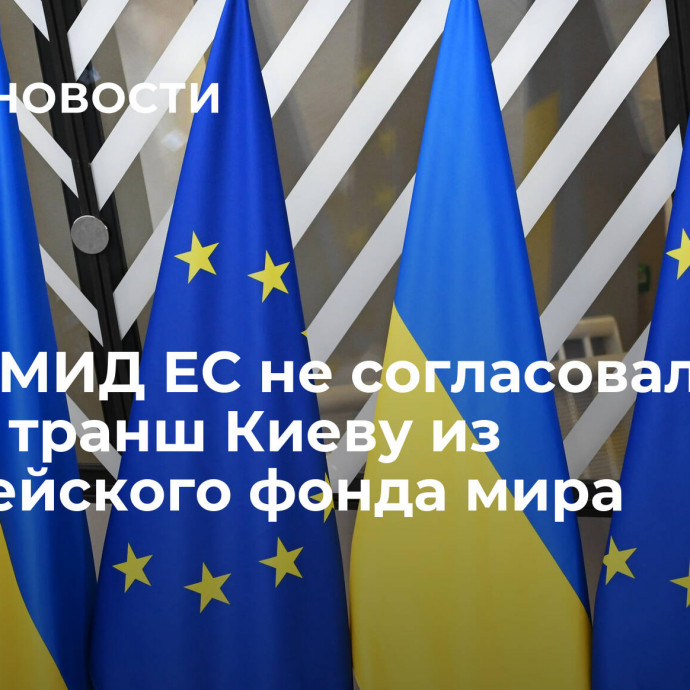 Главы МИД ЕС не согласовали новый транш Киеву из Европейского фонда мира