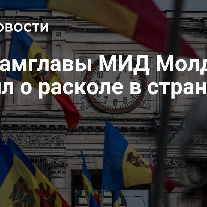 Экс-замглавы МИД Молдавии заявил о расколе в стране