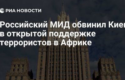 Российский МИД обвинил Киев в открытой поддержке террористов в Африке