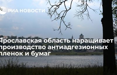 Ярославская область наращивает производство антиадгезионных пленок и бумаг