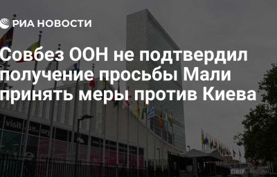 Совбез ООН не подтвердил получение просьбы Мали принять меры против Киева