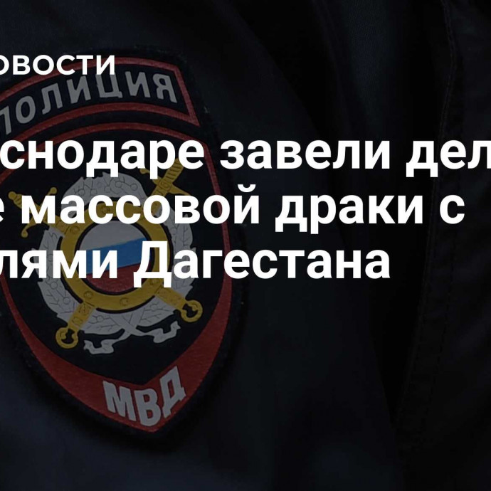 В Краснодаре завели дело после массовой драки с жителями Дагестана