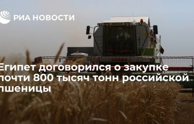 Египет договорился о закупке почти 800 тысяч тонн российской пшеницы