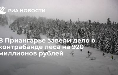 В Приангарье завели дело о контрабанде леса на 920 миллионов рублей