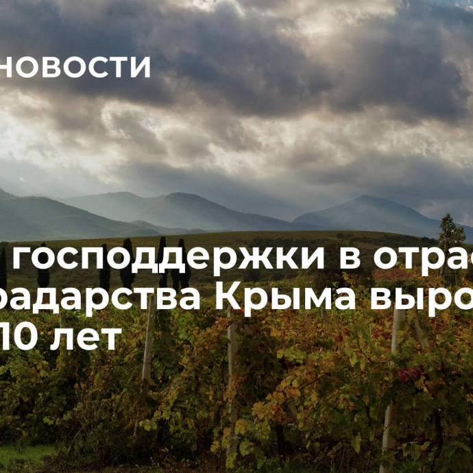 Объем господдержки в отрасль виноградарства Крыма вырос в 11 раз за 10 лет