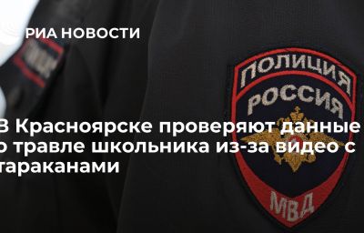 В Красноярске проверяют данные о травле школьника из-за видео с тараканами