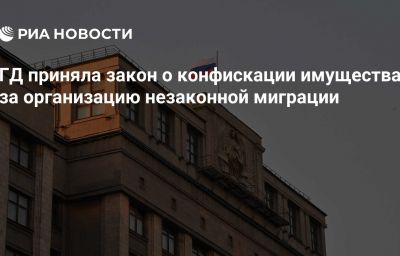 ГД приняла закон о конфискации имущества за организацию незаконной миграции