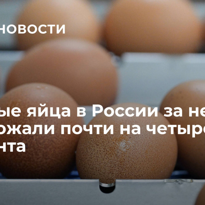 Куриные яйца в России за неделю подорожали почти на четыре процента