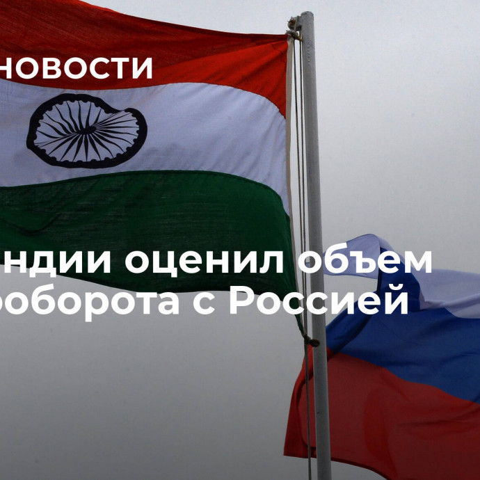 МИД Индии оценил объем товарооборота с Россией