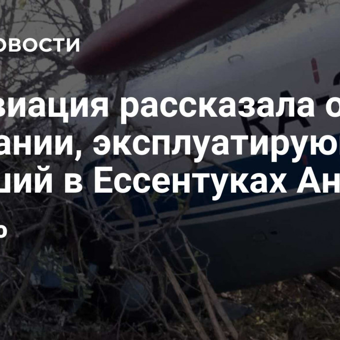 Росавиация рассказала о компании, эксплуатирующей упавший в Ессентуках Ан-2