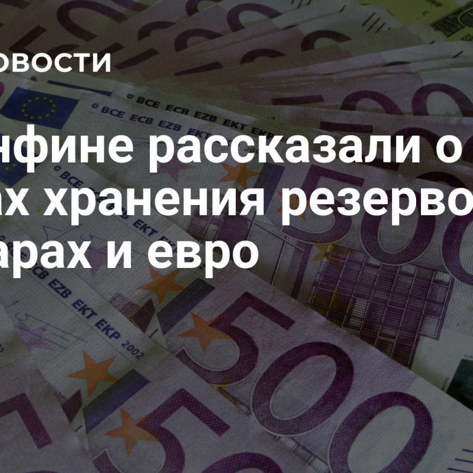 В Минфине рассказали о рисках хранения резервов в долларах и евро