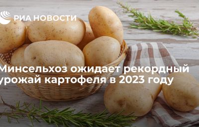 Минсельхоз ожидает рекордный урожай картофеля в 2023 году