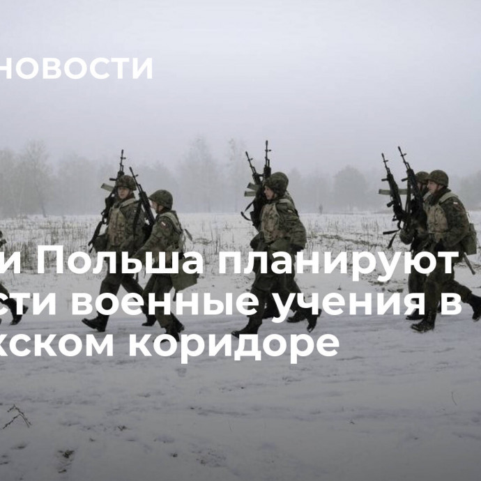 Литва и Польша планируют провести военные учения в Сувалкском коридоре