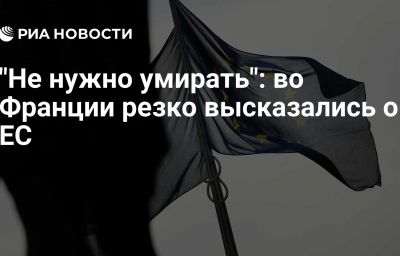 "Не нужно умирать": во Франции резко высказались о ЕС