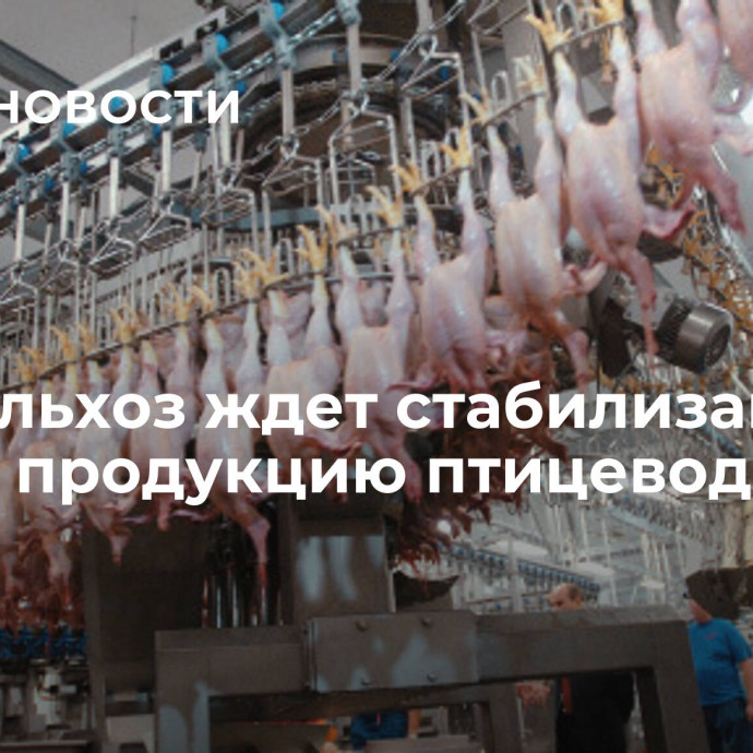 Минсельхоз ждет стабилизацию цен на продукцию птицеводства