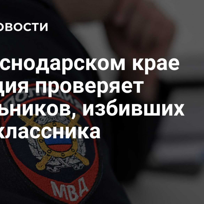 В Краснодарском крае полиция проверяет школьников, избивших одноклассника