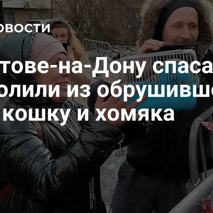 В Ростове-на-Дону спасатели вызволили из обрушившегося дома кошку и хомяка