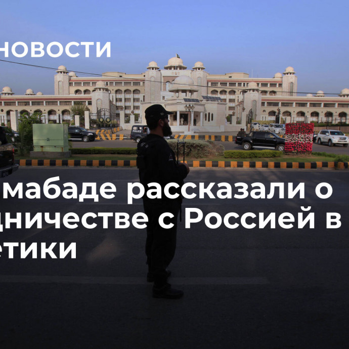 В Исламабаде рассказали о сотрудничестве с Россией в сфере энергетики