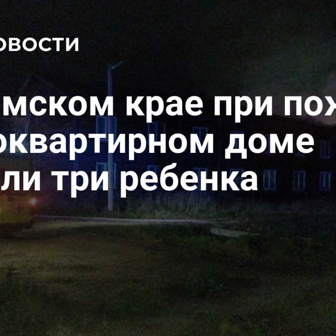 В Пермском крае при пожаре в многоквартирном доме погибли три ребенка