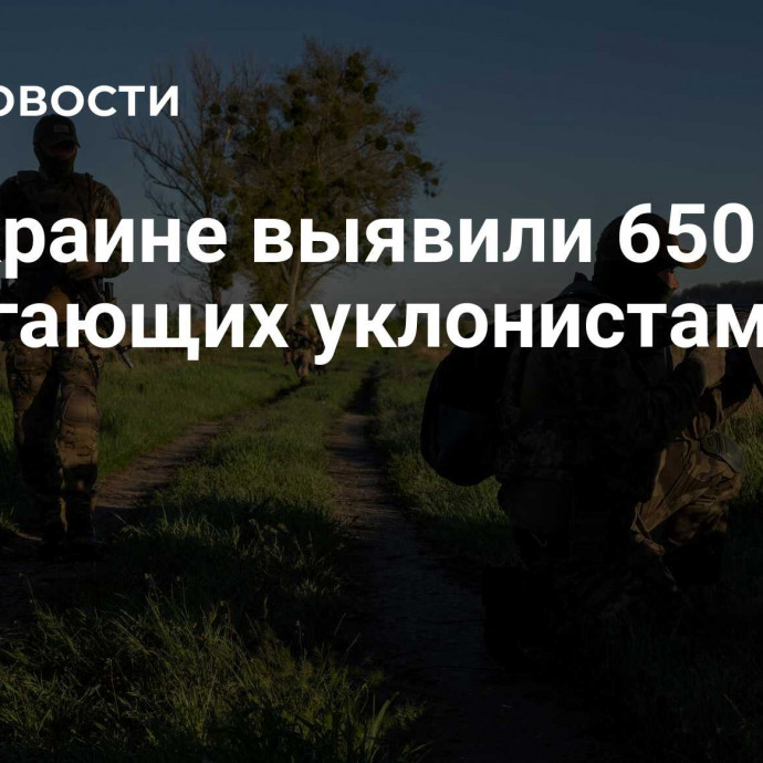 На Украине выявили 650 групп, помогающих уклонистам