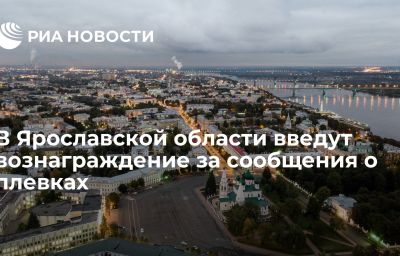 В Ярославской области введут вознаграждение за сообщения о плевках