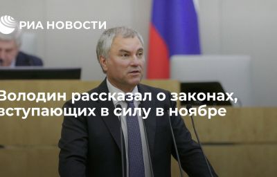 Володин рассказал о законах, вступающих в силу в ноябре