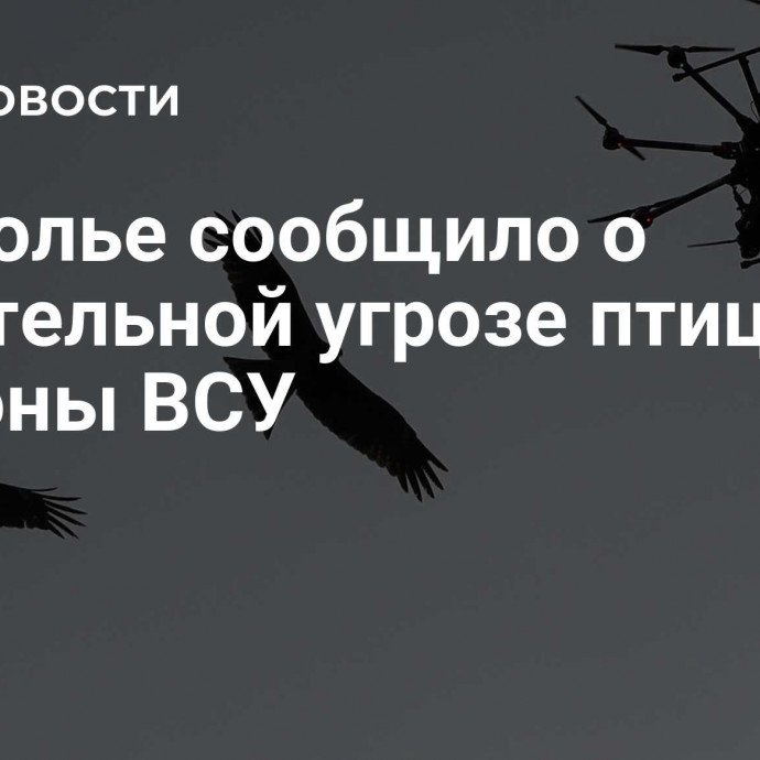 Подполье сообщило о смертельной угрозе птицам со стороны ВСУ