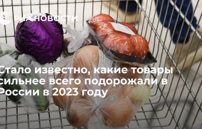 Стало известно, какие товары сильнее всего подорожали в России в 2023 году