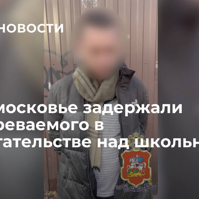 В Подмосковье задержали подозреваемого в надругательстве над школьницей