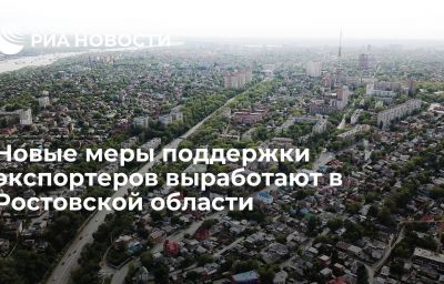 Новые меры поддержки экспортеров выработают в Ростовской области