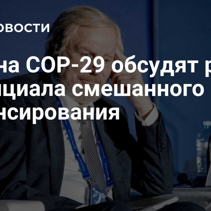 ВЭБ: на COP-29 обсудят рост потенциала смешанного финансирования