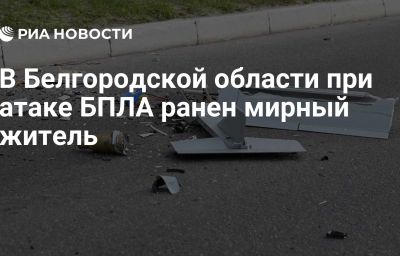 В Белгородской области при атаке БПЛА ранен мирный житель