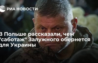 В Польше рассказали, чем "саботаж" Залужного обернется для Украины