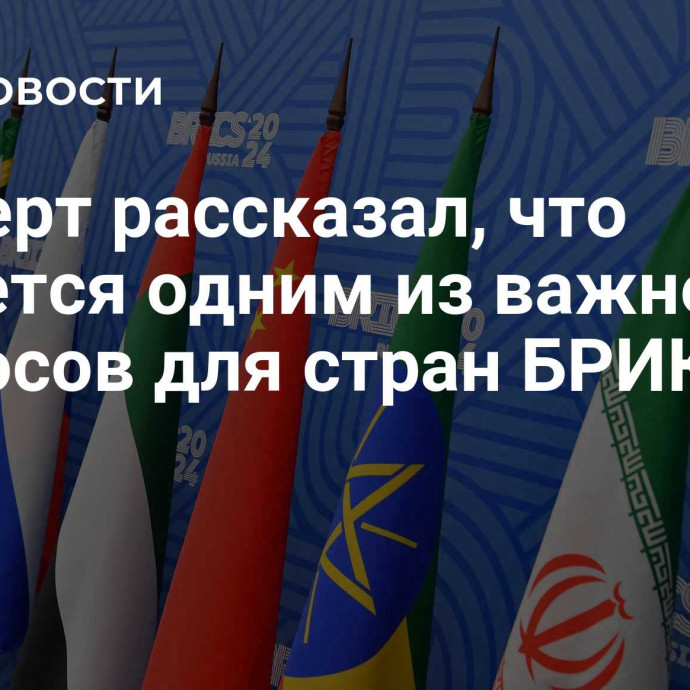 Эксперт рассказал, что является одним из важнейших вопросов для стран БРИКС