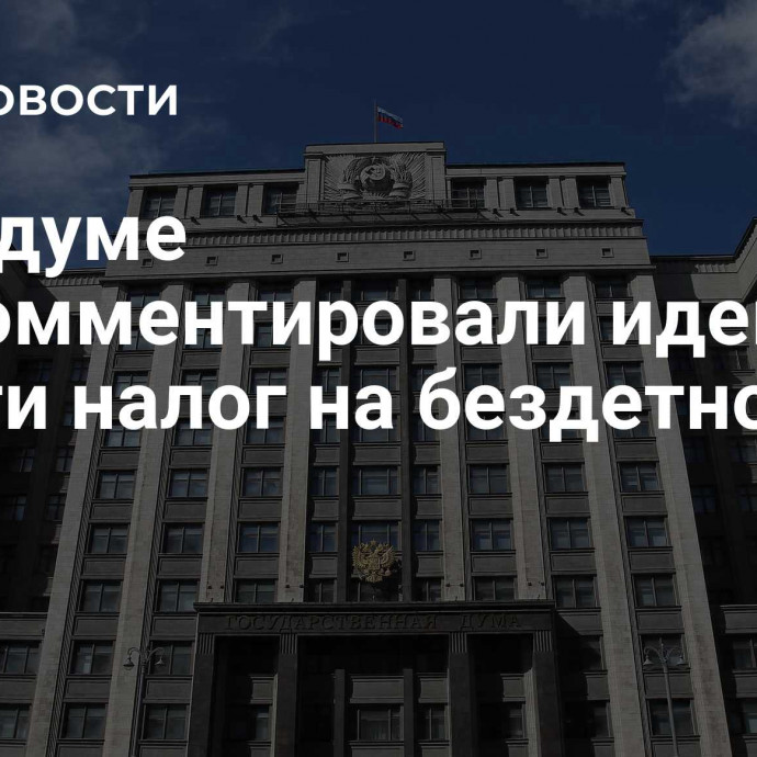 В Госдуме прокомментировали идею ввести налог на бездетность