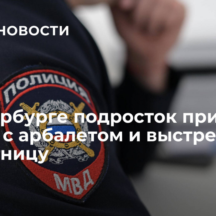 В Петербурге подросток пришел в школу с арбалетом и выстрелил в сверстницу