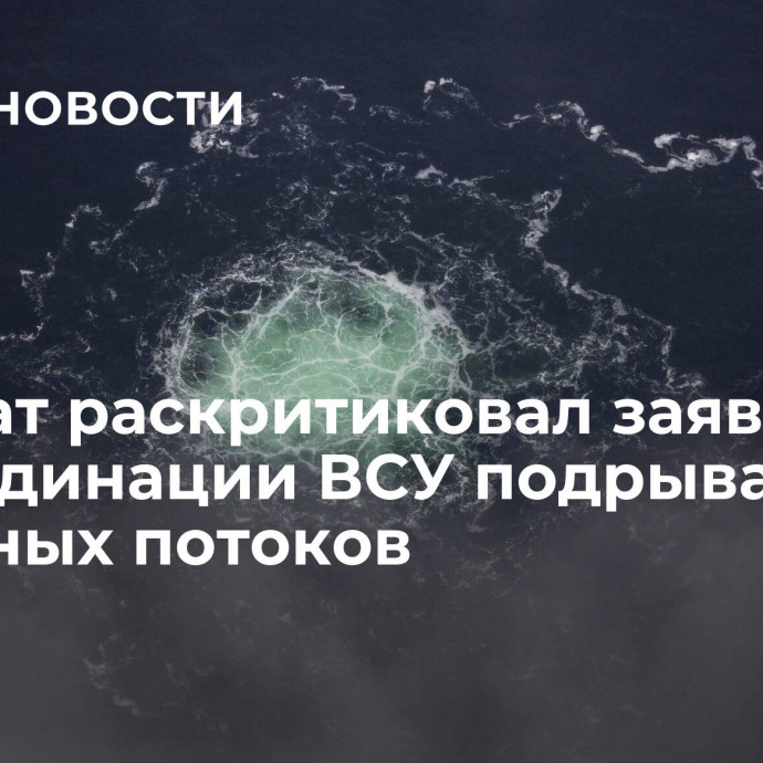 Депутат раскритиковал заявления о координации ВСУ подрыва Северных потоков